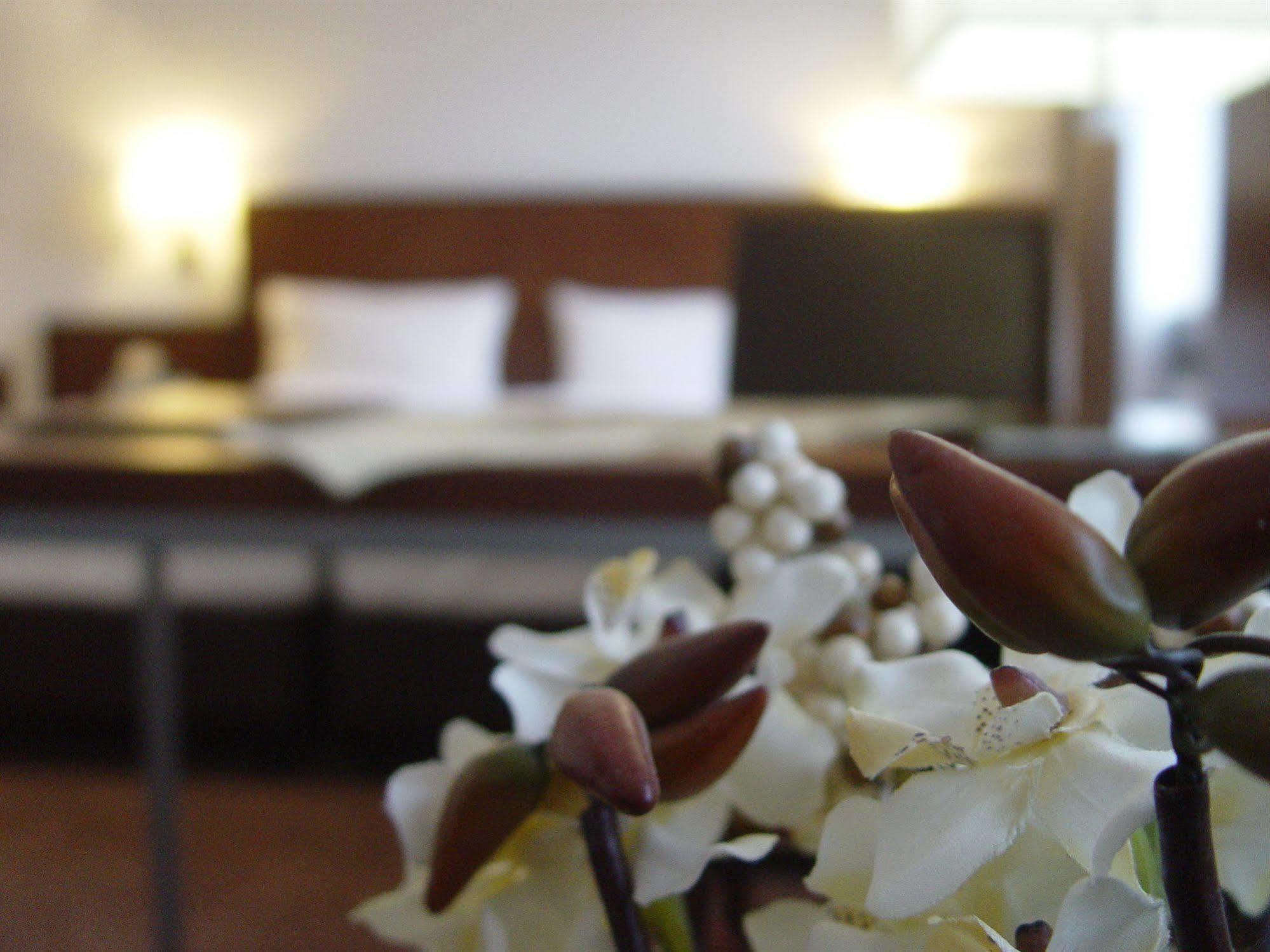 Hotel Zum Adler Bonn Ngoại thất bức ảnh