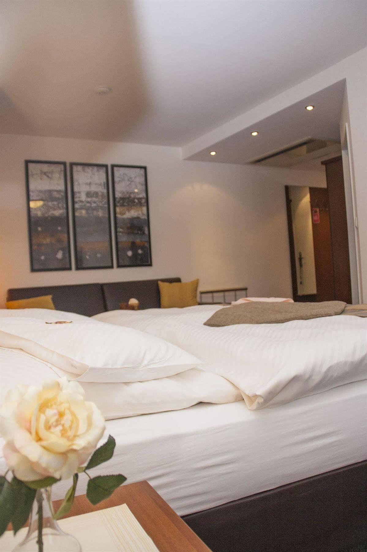 Hotel Zum Adler Bonn Ngoại thất bức ảnh